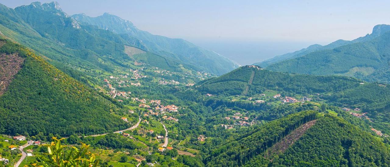 Casa Vacanza Daro Tramonti Eksteriør billede