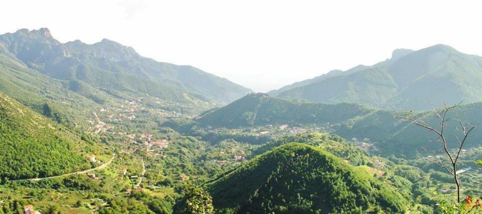 Casa Vacanza Daro Tramonti Eksteriør billede